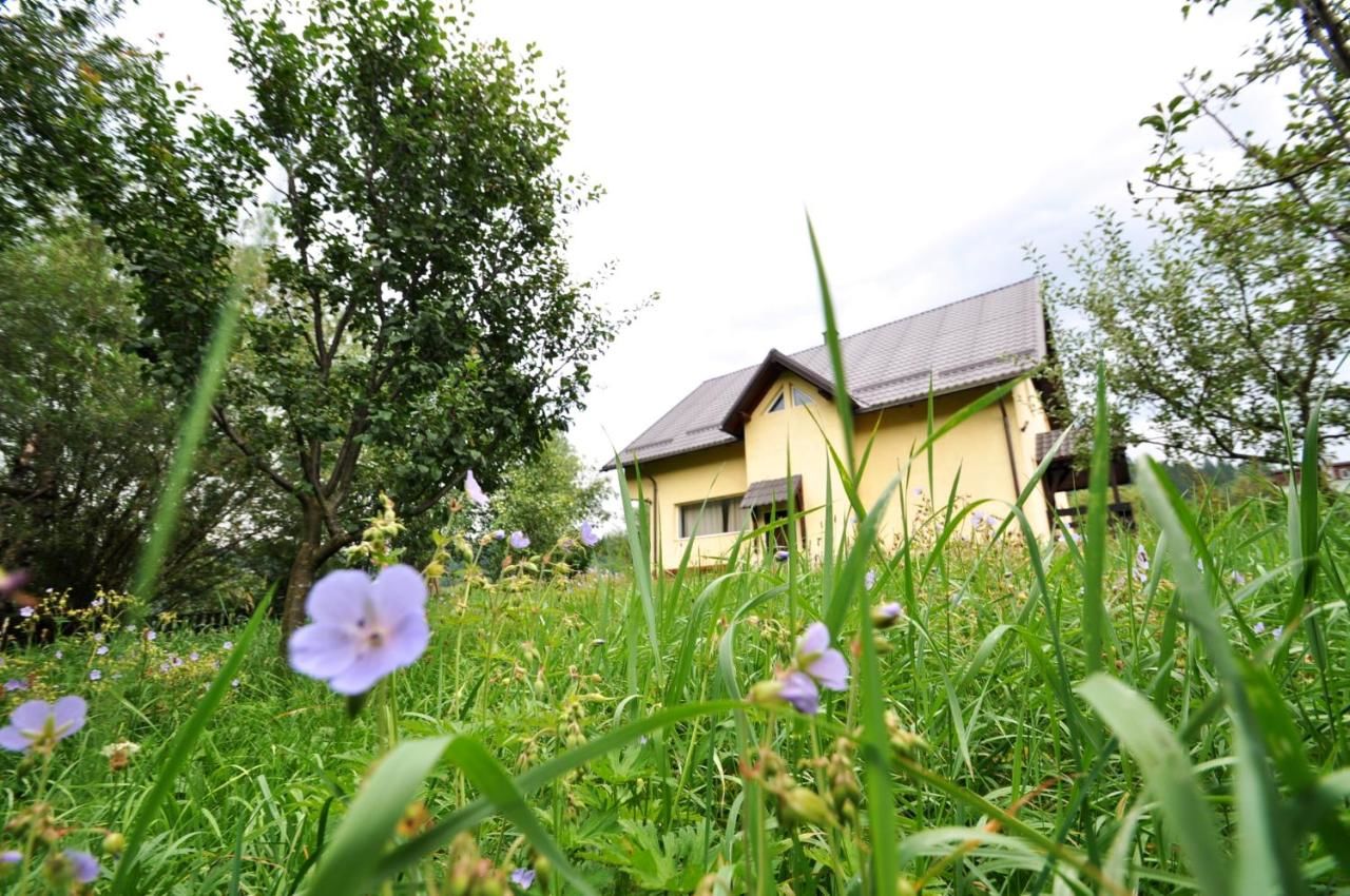 Фотографии Дома для отпуска Casa Mirea Бран, все фото отеля.